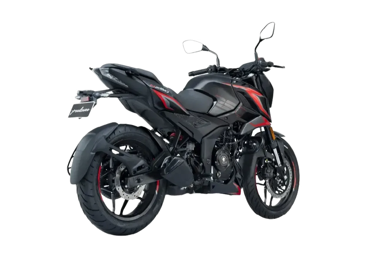 Pulsar N 250 Back Side