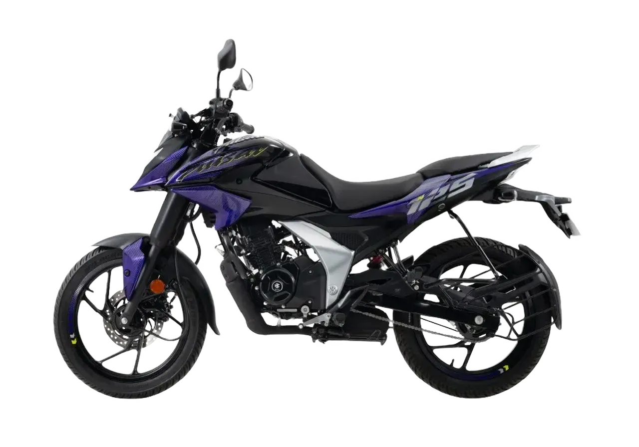 Pulsar N125 Purple Furry